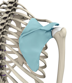 Snapping Scapula